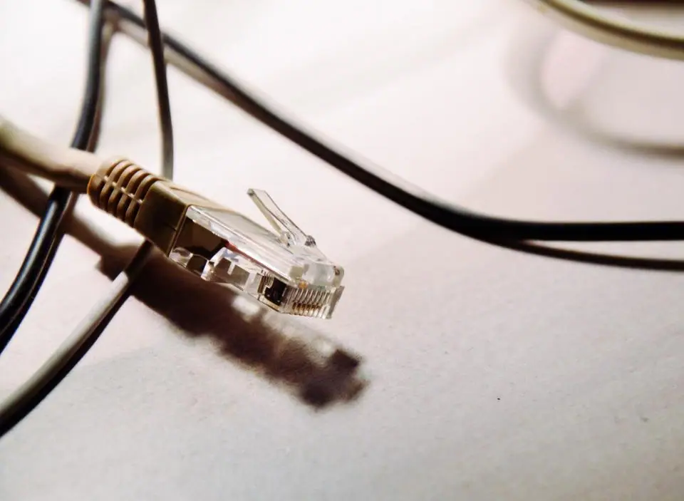 Close-up of an Ethernet cable and RJ45 connector on a clean white surface